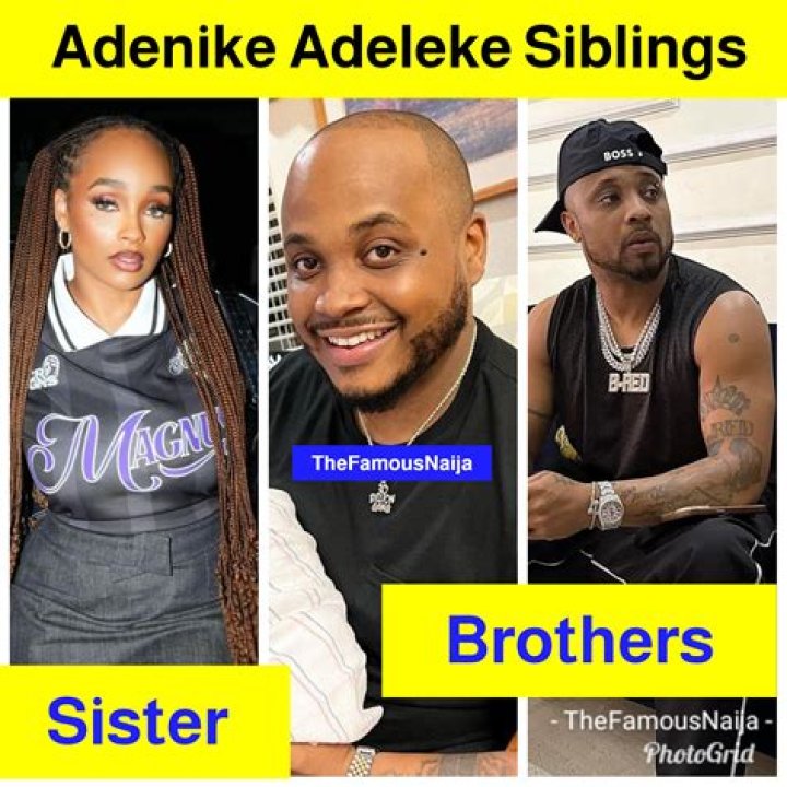 Who is Adenike Adeleke Dating Now