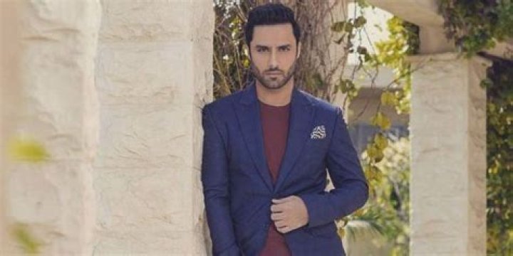 Who is Ahmed Ali Akbar Dating Now