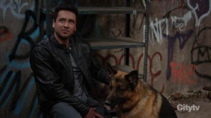 Who is Allan Hawco Dating Now