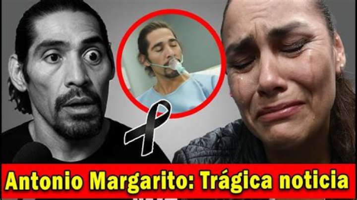 Who is Antonio Margarito Dating Now?