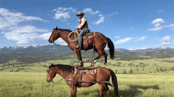 Who is Aya Ueto Dating Now?