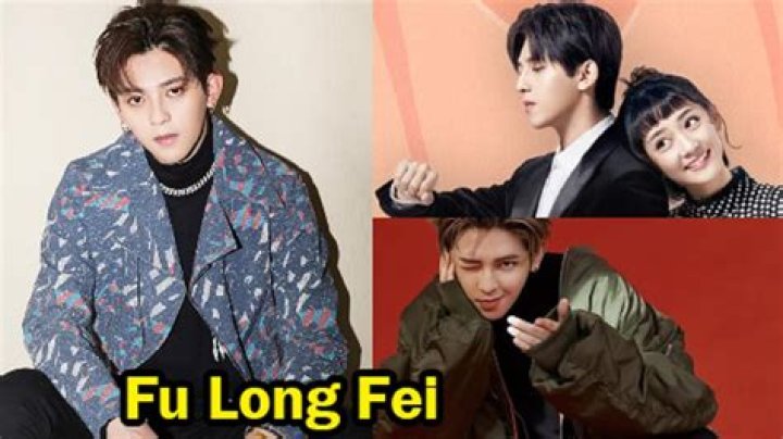 Who is Fu Long Fei Dating Now?