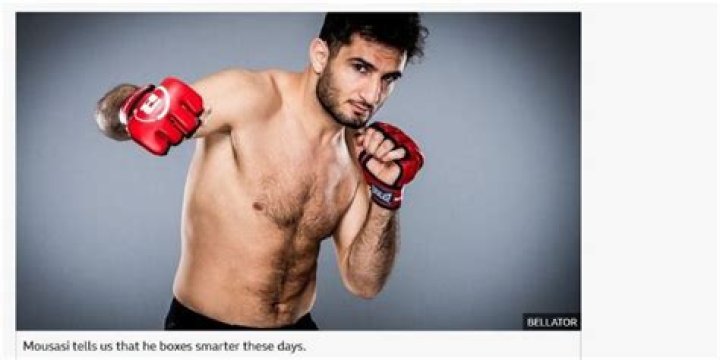 Who is Gegard Mousasi Dating Now