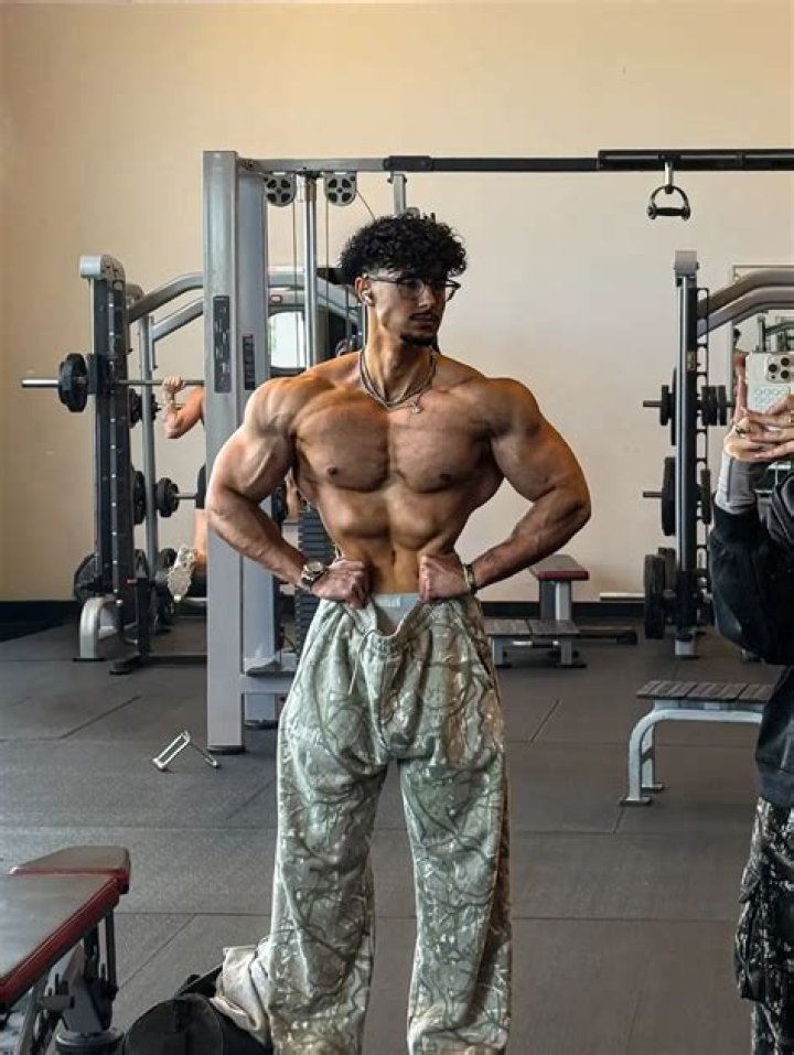 Who is Hussein Al Deek Dating Now?