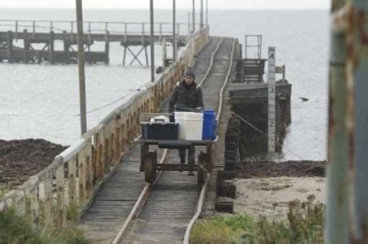 Who is Lisa Chappell Dating Now