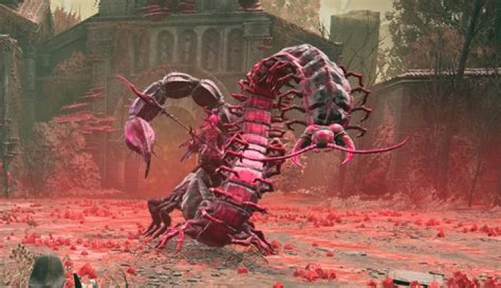 Who is Romina Gafur Dating Now?