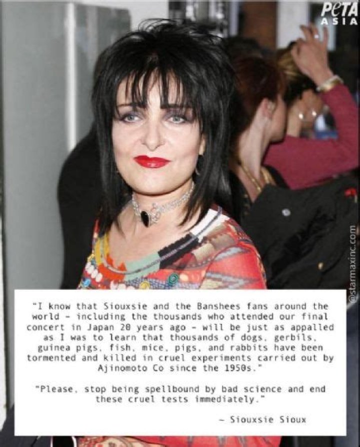 Who is Siouxsie Sioux Dating Now