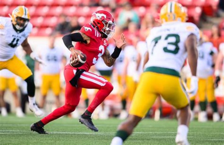 Who is Vernon Adams Jr. Dating Now?